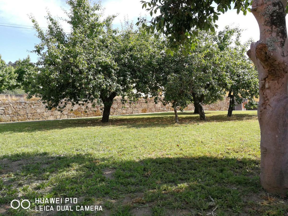 Casas Marias De Portugal - Cerveira Διαμέρισμα Vila Nova de Cerveira Εξωτερικό φωτογραφία
